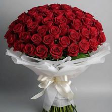 101 Красная роза Блэк Мэджик в Междуреченске Букет 101 Красная роза Блэк Мэджик в Междуреченске