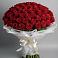 101 Красная роза Блэк Мэджик в Междуреченске Букет 101 Красная роза Блэк Мэджик в Междуреченске