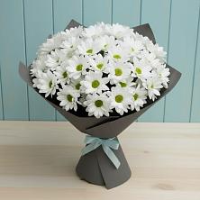 Букет белые хризантемы в Междуреченске Букет цветов из:  Хризантемы в Междуреченске