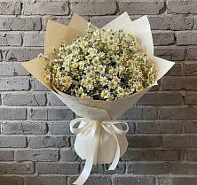 Букет Кустики радости в Междуреченске Букет цветов из:  Ромашки в Междуреченске