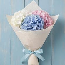 Букет Нежная гортензия в Междуреченске Букет цветов из:  Гортензия в Междуреченске