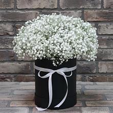 Композиция коробка гипсофил в Междуреченске Цветочная композиция из Гипсофила в шляпной коробке в Междуреченске