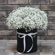 Композиция коробка гипсофил в Междуреченске Цветочная композиция из Гипсофила в шляпной коробке в Междуреченске